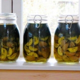 Tinktura mandžurskog oraha: recepti